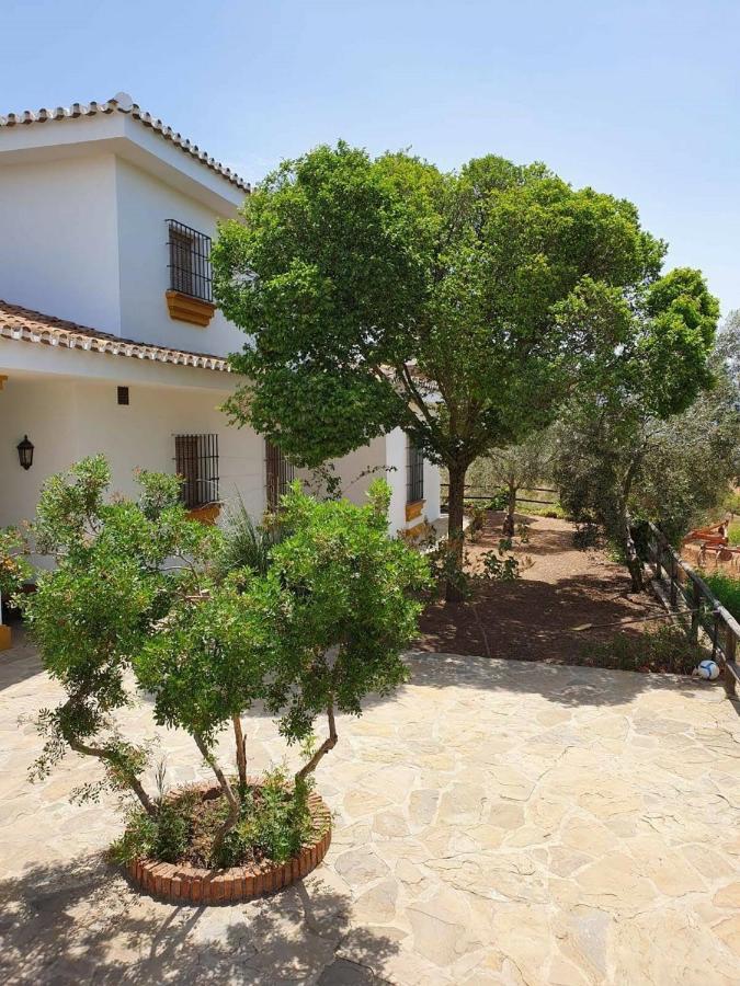 Вілла Cortijo El Arrejadero Villanueva del Rosario Екстер'єр фото